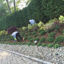 Bissett Nursery Corporation 470 Deer Park Ave Dix Hills Reviews