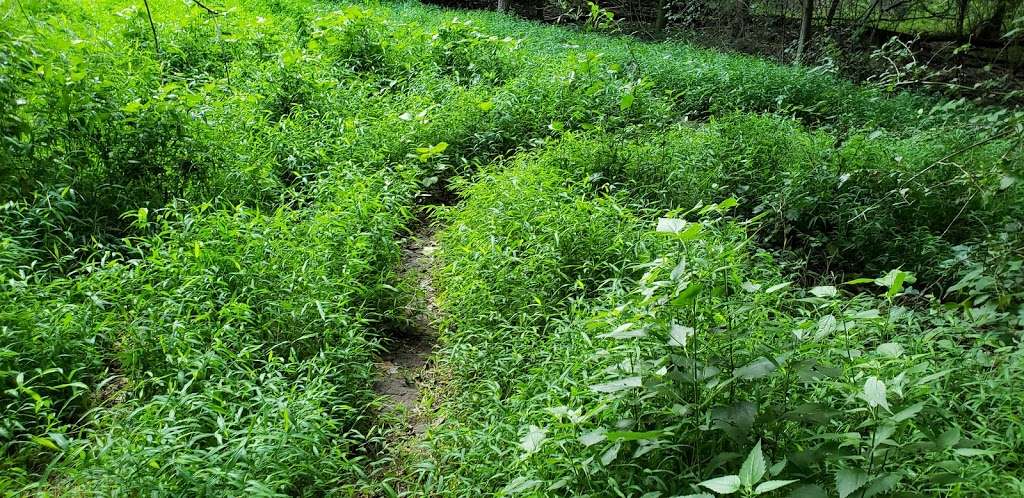 goshen terrace nature trail